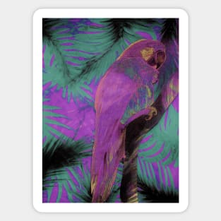 ABSTRACT MACAW DECO INDIGO TINT WITH PINK PARROT ART POSTER Sticker